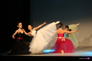 photographe-reportage-danse-salle-arabesque-animation-landes-aire-sur-adour-tutu