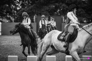 photographe-reportage-spectacle-equestre-equestria-pyrenees-tarbes12