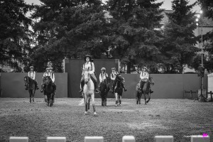 photographe-reportage-spectacle-equestre-equestria-pyrenees-tarbes13