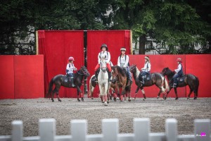 photographe-reportage-spectacle-equestre-equestria-pyrenees-tarbes7