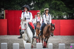 photographe-reportage-spectacle-equestre-equestria-pyrenees-tarbes8