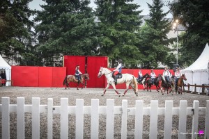 photographe-reportage-spectacle-equestre-equestria-pyrenees-tarbes9